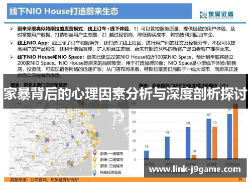 家暴背后的心理因素分析与深度剖析探讨
