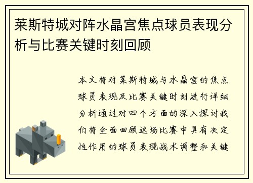 莱斯特城对阵水晶宫焦点球员表现分析与比赛关键时刻回顾