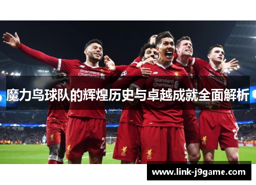 魔力鸟球队的辉煌历史与卓越成就全面解析