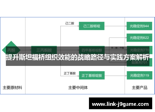 提升斯坦福桥组织效能的战略路径与实践方案解析