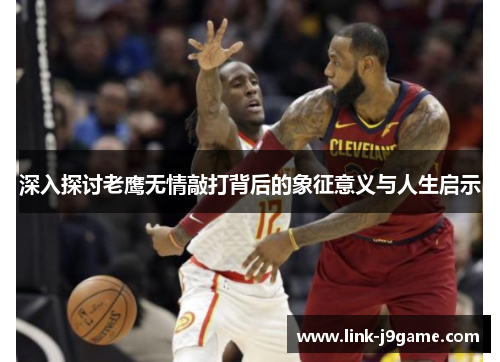 深入探讨老鹰无情敲打背后的象征意义与人生启示