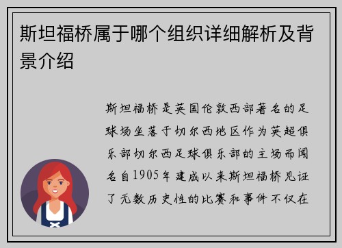 斯坦福桥属于哪个组织详细解析及背景介绍
